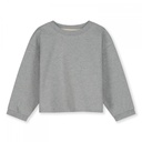 Cropped Sweatshirt - Gray Label