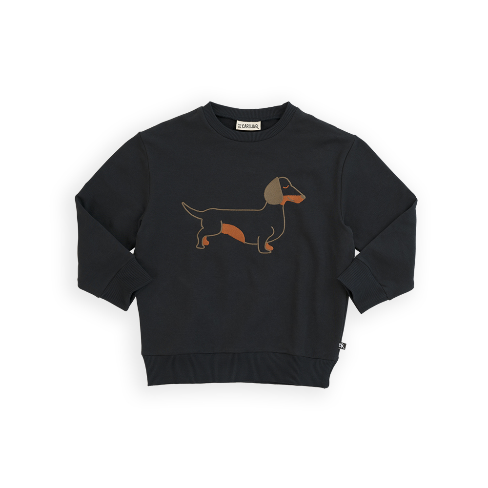 Dachshund - sweater with embroidery - CarlijnQ