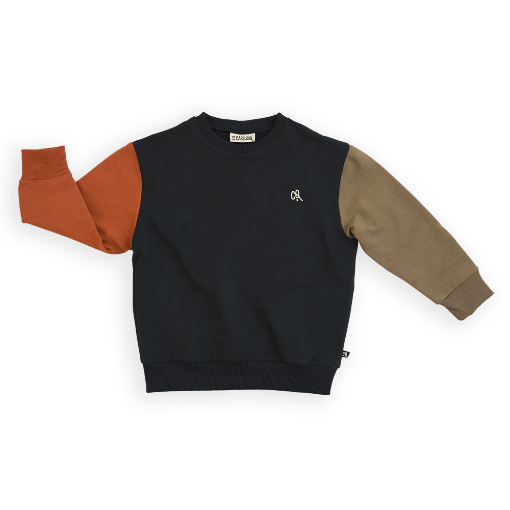 Basics - sweater (brown/black) - CarlijnQ
