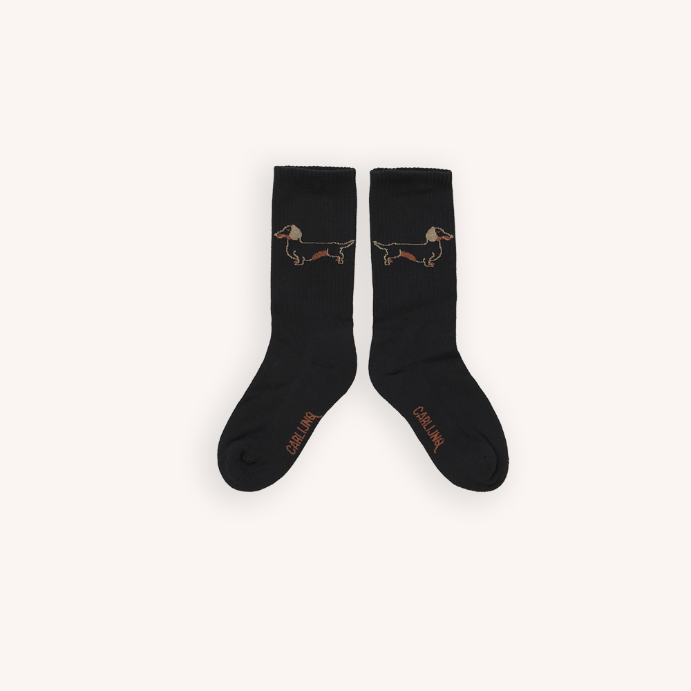Dachshund - sport socks - CarlijnQ